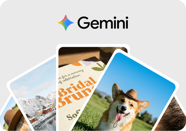 Gemini Style Stylizer